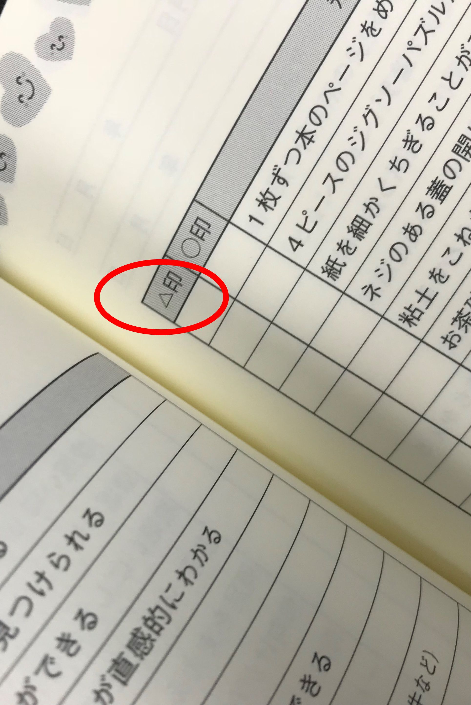 脳の発達特性に応じた教育手法を工夫したい 19年05月27日 通信制高校のルネサンス高等学校